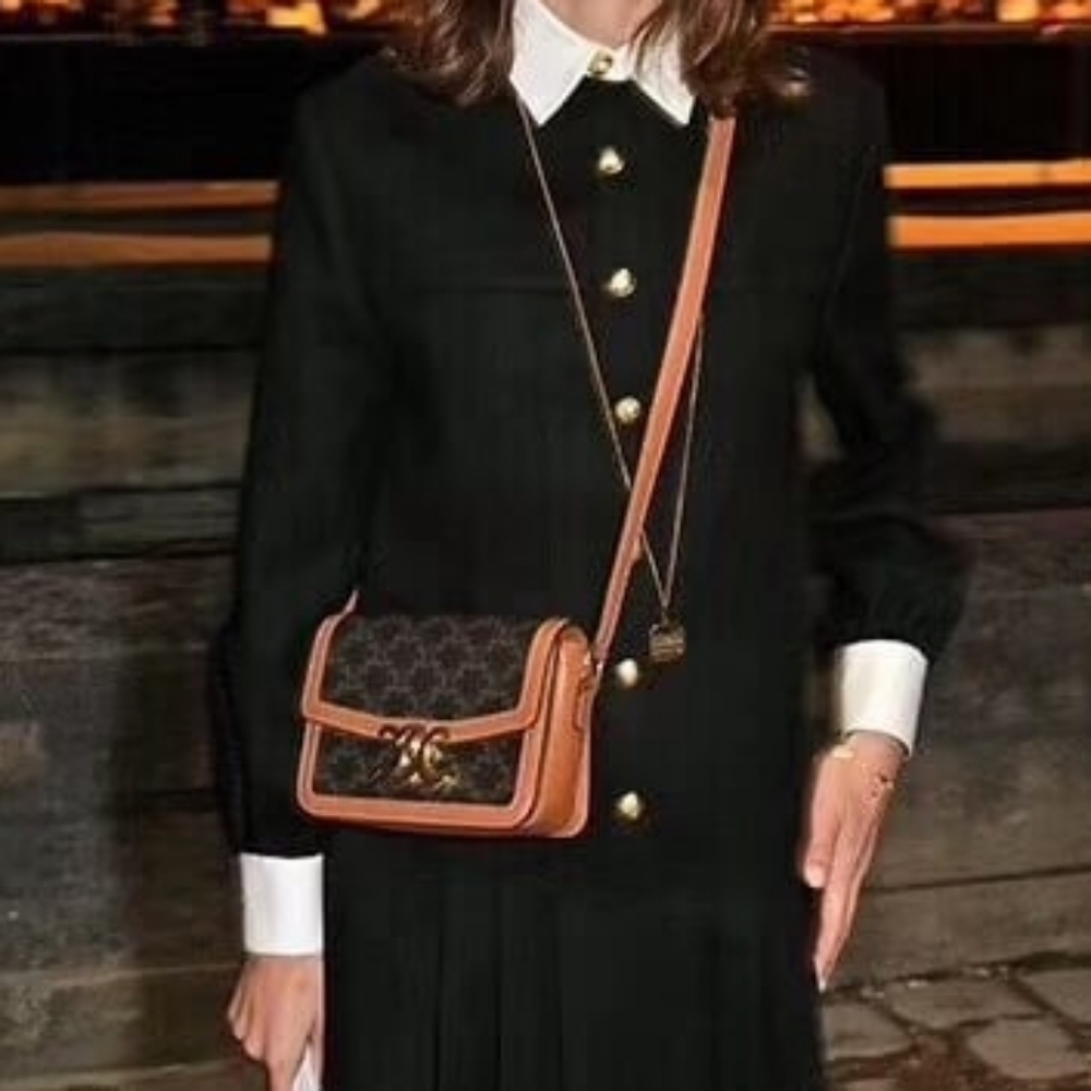 BRAND NEW! Celine TEEN TRIOMPHE BAG IN TRIOMPHE CANVAS AND CALFSKIN - Picture 4 of 16